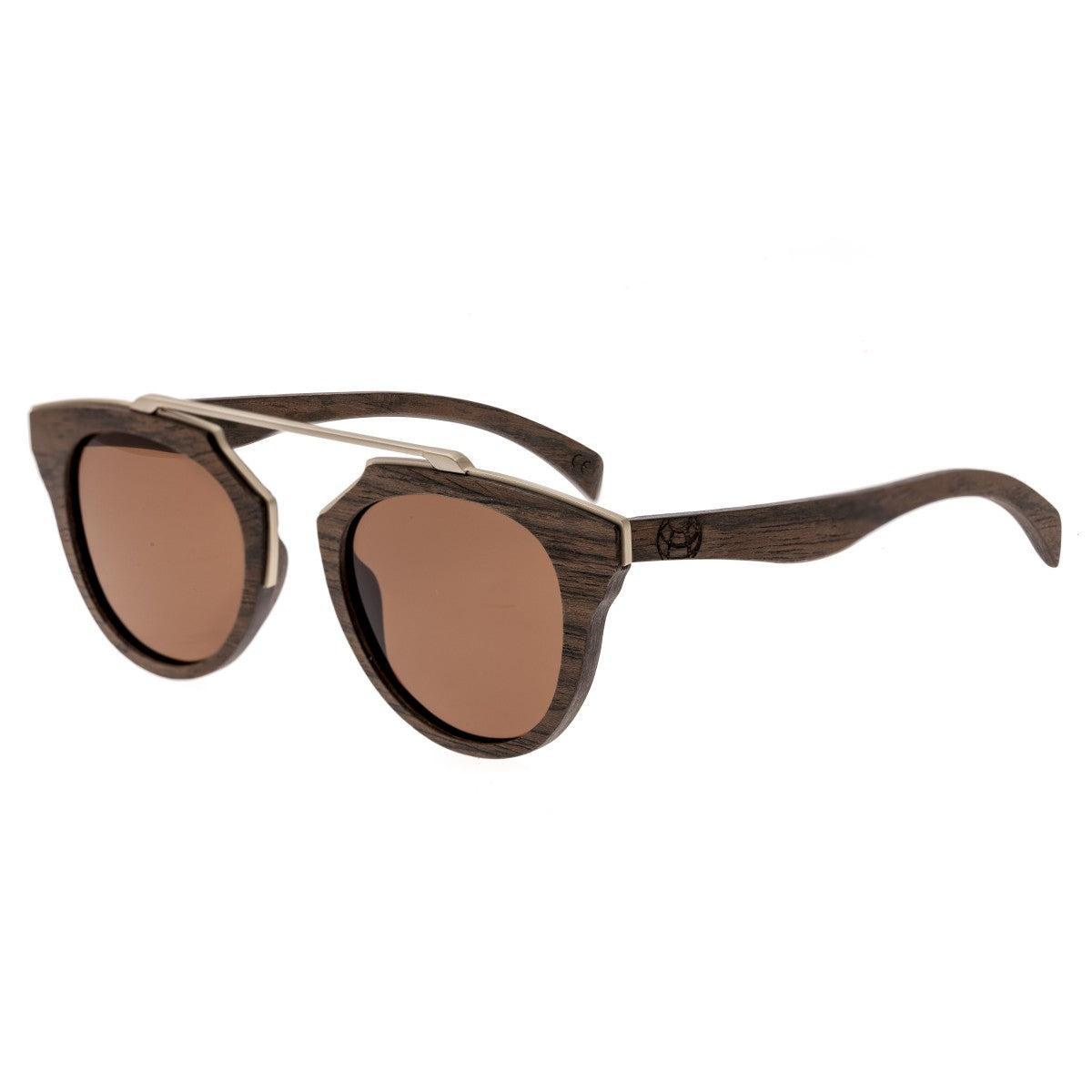 Earth Wood Ceira Polarized Sunglasses - Brown/Brown - ESG021BN