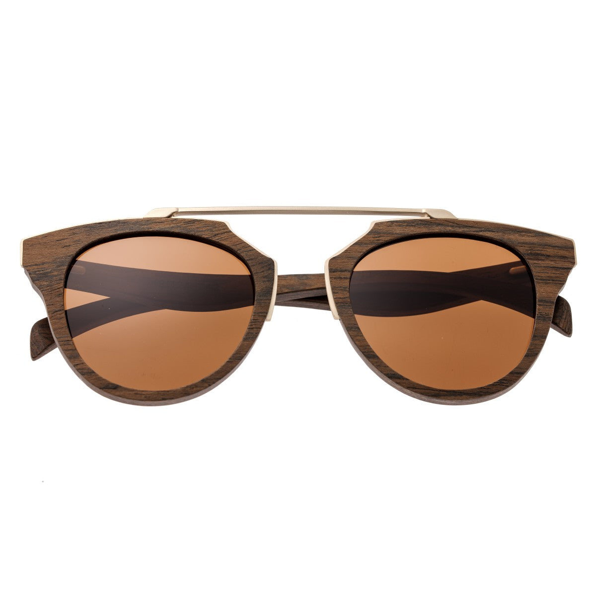 Earth Wood Ceira Polarized Sunglasses - Brown/Brown - ESG021BN