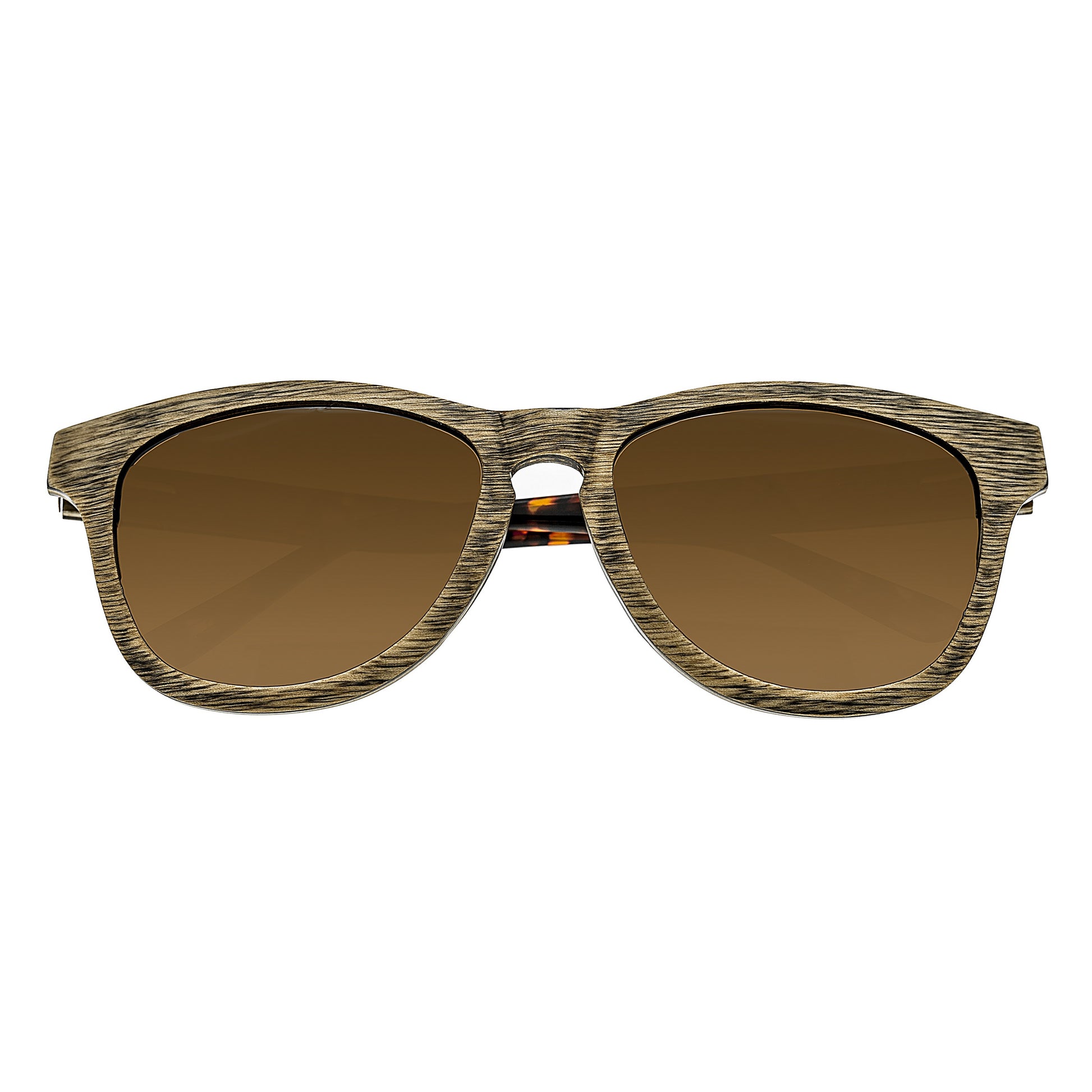 Earth Wood Cove Polarized Sunglasses - Brown/Brown - ESG010BR