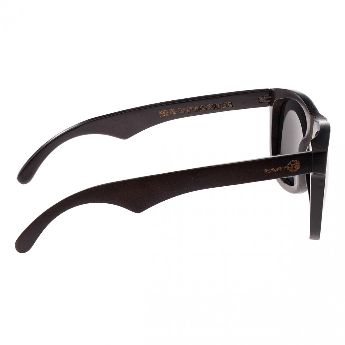 Earth Wood Hampton Polarized Sunglasses - Espresso/Silver - ESG036E